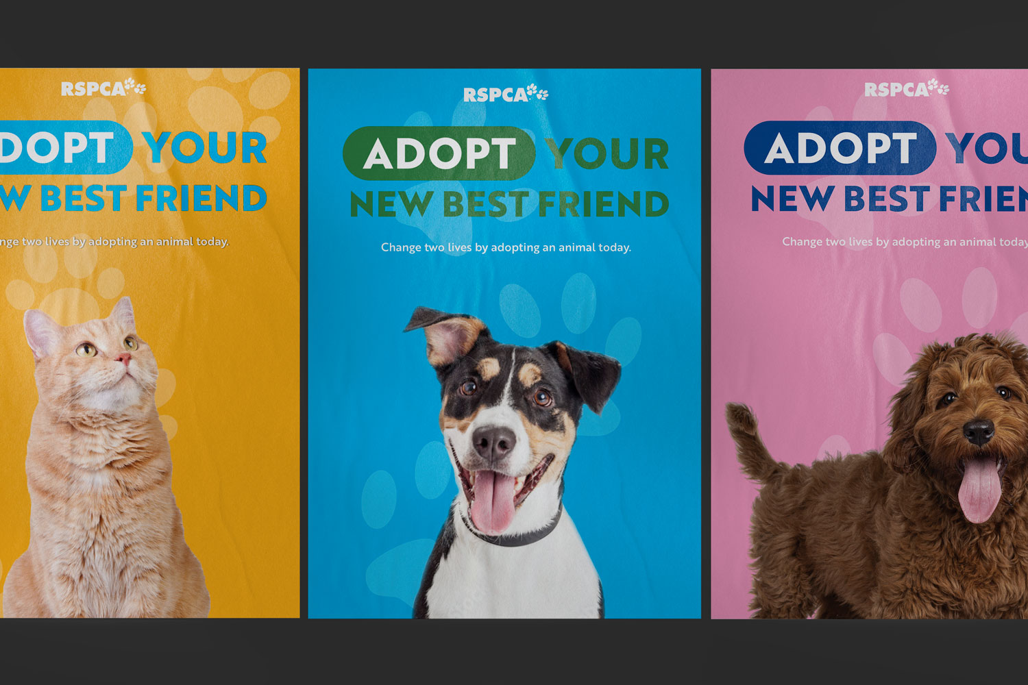 RSPCA SA
